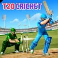 T20世界板球比赛安卓版游戏下载  v3.2 