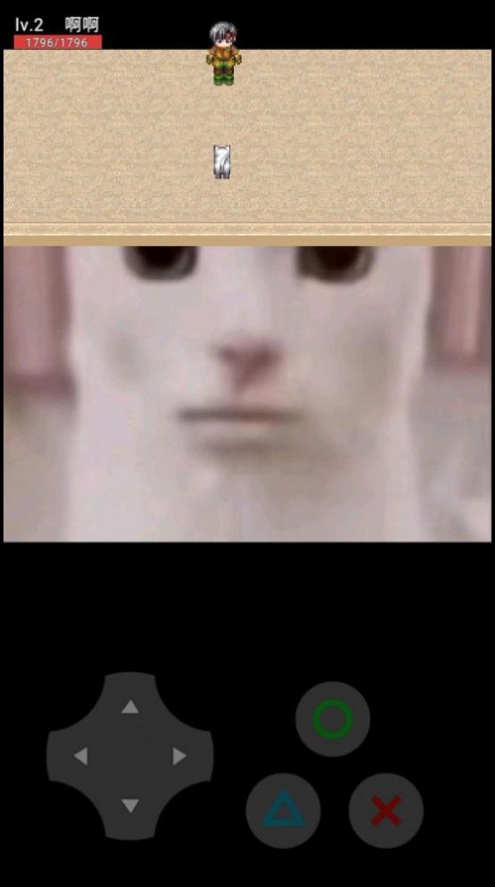 猫咪惊魂安卓版手机版下载  v0.10截图