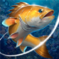 钓鱼挑战赛游戏最新手机版  v2.4.5 