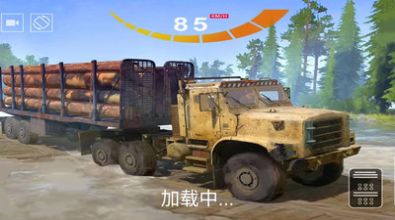 真实模拟卡车司机游戏官方最新版  v1.0截图