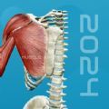 3D肌肉解剖app免费版下载  v1.0 