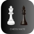 ChessMate Beginner＇s Battle软件安卓版免费下载  v1.0 